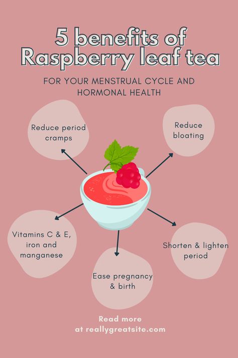 Raspberry Tea Benefits Period, Tea For Menstrual Cycle, Teas For Menstrual Cycle, Raspberry Tea Benefits, Raspberry Leaf Tea Benefits, Herb Facts, Menstrual Tea, Hormone Harmony, Period Health