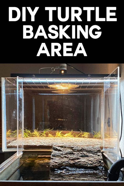 Aquatic Turtle Enclosure Indoor, Large Turtle Basking Platform Diy, Turtle Tank Basking Area, Turtle Basking Area Ideas, Basking Area For Turtles Diy, Above Tank Turtle Basking Area, Turtle Dock Diy, 55 Gallon Turtle Tank Ideas, Diy Turtle Basking Platform Above Tank