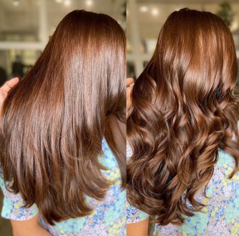 Mahogany Brunette Hair, Light Cinnamon Brown Hair Color, Brown Red Copper Hair Color, Global Hair Colour, Light Chocolate Brown Hair Color, Light Chocolate Brown Hair, Global Hair Color, Light Auburn Hair Color, Light Auburn Hair