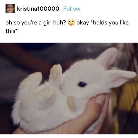 Bunny Gf Type, Bunny Reactions Pic, Bunny Teeth Aesthetic, Bunny Regressors, Happy Reaction Pic, Holding Bunny, Bunny Pfp, Girl Memes, Silly Animals