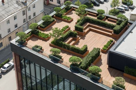 Rooftop Garden Urban, Roof Top Garden, Roof Garden Design, Green Terrace, Rooftop Design, Desain Lanskap, Roof Architecture, Building Roof, Architecture Building Design