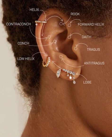 Ear piercing Eat Piercings, Ear Piercings Placement Chart, Earring Party, Unique Ear Piercings, Evry Jewels, Classy Looks, Ear Piercings Chart, Piercing Chart, Multiple Ear Piercing