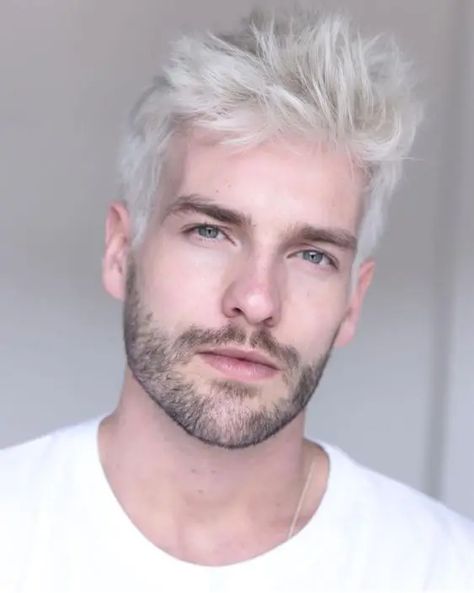 Top 28 Hairstyles for Men: Elevating Your Look With Style Mens Platinum Hair, Silver Hair Men, White Hair Men, Bleached Hair Men, Blonde Beard, Beard Images, White Hair Color, Men Hair Color, Platinum Hair