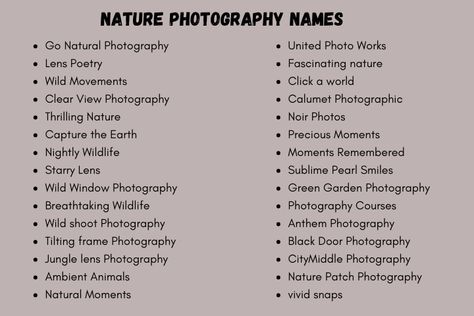 Username For Nature Photography, Name For Photography Business, Nature Photography Instagram Username, Photographer Business Names Ideas, Photography Ig Name Ideas, Photography Business Names Creative, Nature Username Ideas, Photographer Names Ideas For Instagram, Album Names Ideas Pictures