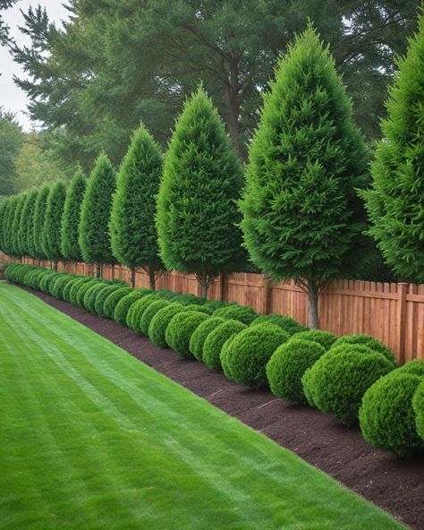 10 Best Trees To Plant Along Fence Trees Around Fence, Privacy Fence And Trees, Plants By The Fence, Garden Ideas Trees, Trees As Privacy Fence, Modern Cabin Landscaping, Tree Lined Fence Backyards, Plants Next To Fence, Garden Fence Planting Ideas