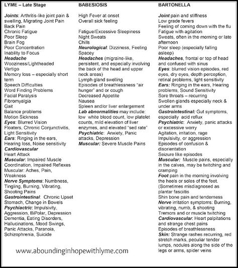 Symptom Chart - Lyme Disease, Babesiosis and Bartonella • Abounding in Hope with Lyme Bartonella Symptoms, Lymes Disease, Emt Study, Hollistic Health, Chronic Lyme, Sounds Good To Me, Chronic Fatigue, Study Notes, Chronic Illness