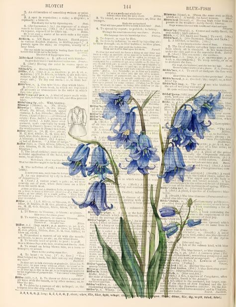 Bluebells on dictionary page: Delicate watercolor painting of blue bell-shaped flowers on stems against a background of vintage dictionary text. The flowers are rendered in shades of blue and green, creating a soft, ethereal effect that contrasts with the crisp black text of the dictionary entries Book Page Wallpaper Aesthetic, Wall Prints Aesthetic Bedroom Vintage, Flowers On Book Pages, Old Book Pages Aesthetic, Aesthetic Dictionary, Old Dictionary Pages, Diy Wall Collage, Vintage Dictionary Pages, Small Posters