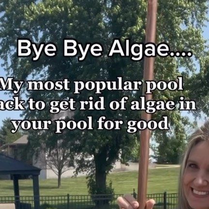 Pool Algae How To Get Rid, Diy Chlorine Pool Floater, Pool Skimmer Hacks, Pool Cleaning Hacks, Above Ground Pool Hacks, Above Ground Pool Ideas Landscaping, Pool Cleaning Tips, Pool Algae, Landscaping Around Pool