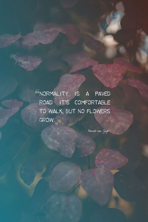 Normality is a paved road Roads Quotes, Roadtrip Quotes, Buffet Quotes, Normality Is A Paved Road, Warren Buffet Quotes, Road Quotes, Thoughtful Quotes, Empty Road, Heart Warming Quotes