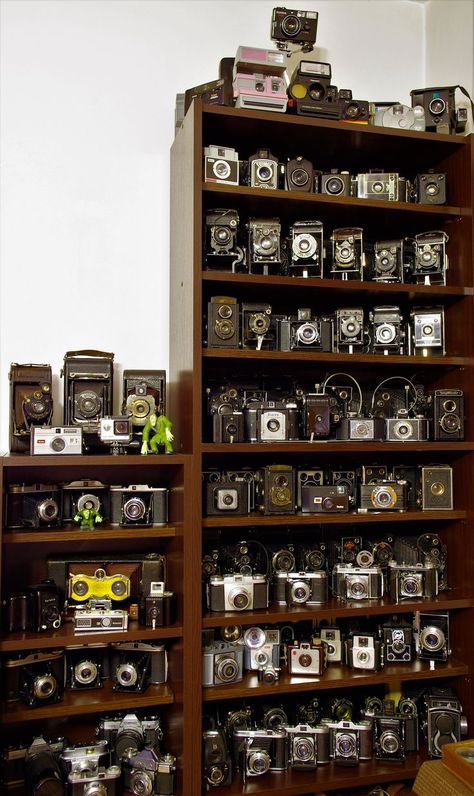 Antique Camera Display, Vintage Camera Decor, Fotocamere Vintage, Camera Decor, Photography Room, Camera Collection, Antique Cameras, Camera Photos, Old Cameras