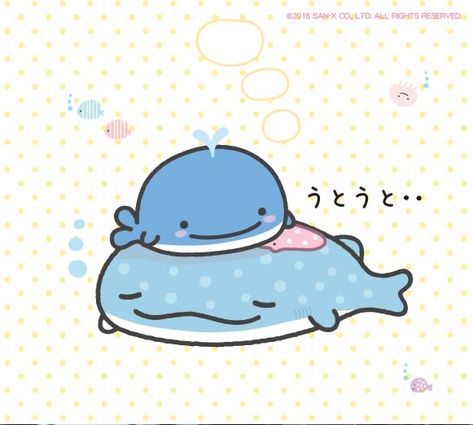 🫧 tags: #aesthetic #coquette #kawaii #kawaiistyle #kawaiicore #cutecore #mamegoma #ocean #oceanlife #marine #marinebiology Jinbesan Icon, Rosie Animal Crossing, Silly Shark, Happy Whale, Coquette Kawaii, Sharks Funny, Shark Art, Ipad Background, Animal Doodles