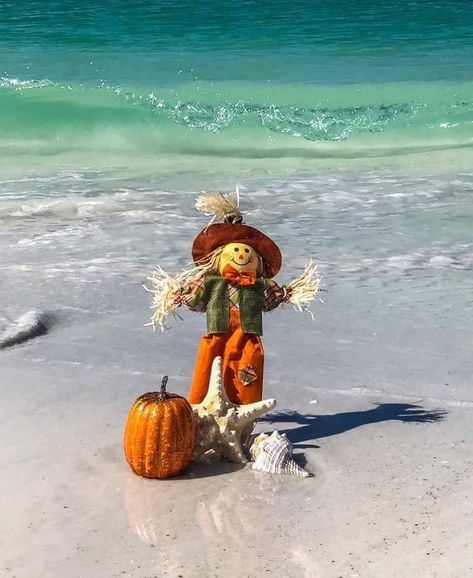 Beachy Halloween, Thanksgiving Beach, Beach Thanksgiving, Coastal Halloween, Coastal Autumn, Fall Beach, Beach Holidays, Thanksgiving Dishes, Creative Idea