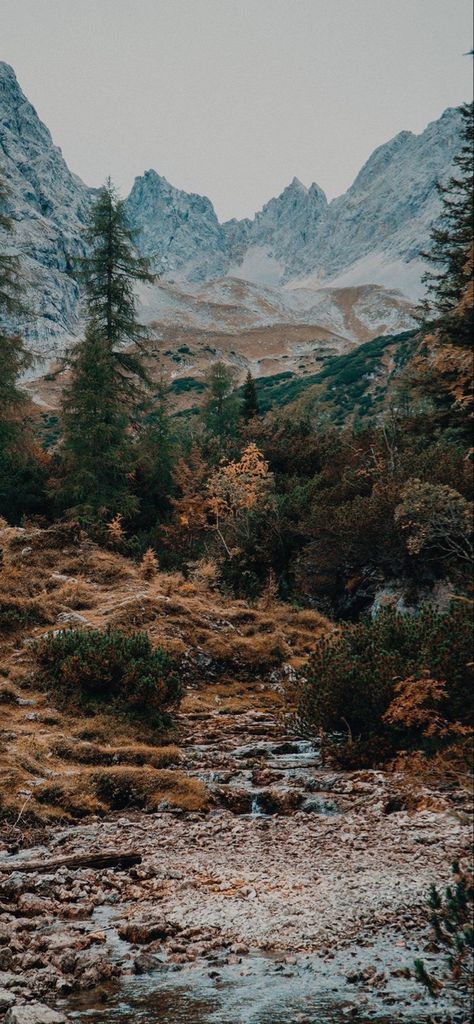 Mountain Aesthetic, Hapkido, Natural Background, Pretty Landscapes, Pretty Wallpapers Backgrounds, Fall Wallpaper, Lets Go, Landscape Wallpaper, Nature Aesthetic