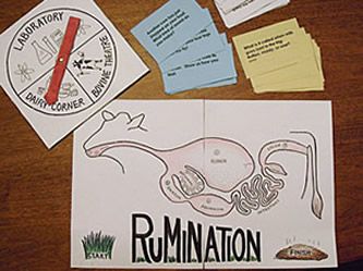 Purpose of game:  To learn about rumination Target age group:  ages 8-12 Description of game:  This game can accommodate any number of players, and can work as a team game.  It gives lots of high-c… Dairy Science, Animal Science Activities, Agriculture Classroom, Teach Ag, Ag Science, Ag Education, Ag Teacher, Veterinary Science, Farm School