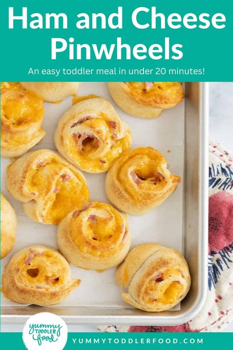 Ham and Cheese Pinwheels Toddler Pinwheel Recipes, Toddler Freezer Meals, Veggie Grilled Cheese, October Meals, Blw Recipes, Ham And Cheese Pinwheels, Quick Family Dinners, Kid Foods, Eat Meals