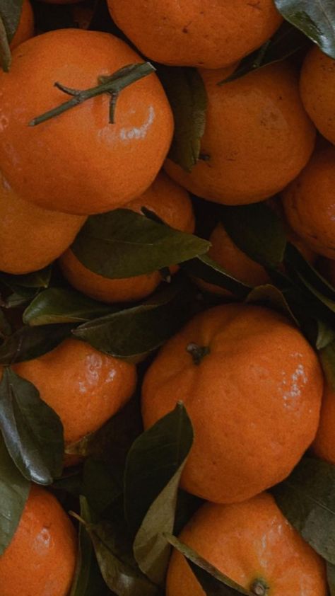 Channel Orange, Skin Care Tutorial, Bedroom Closet Design, Orange Aesthetic, Tangerine Orange, Cute Fruit, Number Two, Aesthetic Photo, Plant Leaves