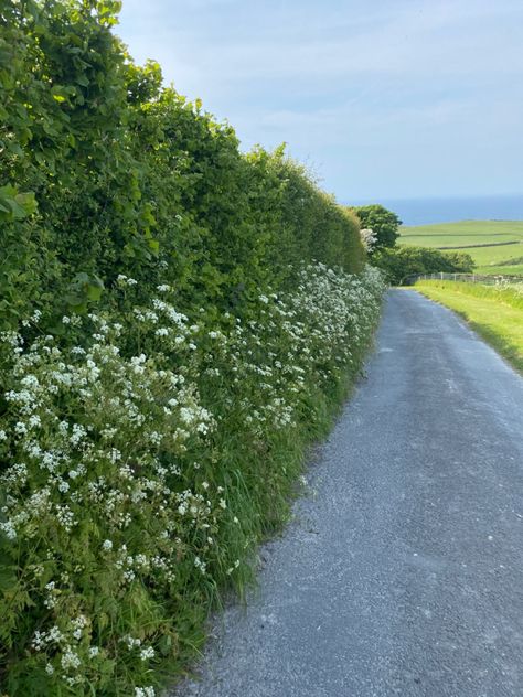 English Family Aesthetic, English Countryside Aesthetic Summer, British Family Aesthetic, British Spring Aesthetic, Summer In The Countryside, British Beach Aesthetic, Summer In England Aesthetic, Scottish Summer Aesthetic, Countryside Life Aesthetic