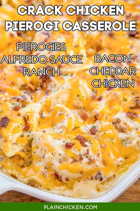 Chicken Pierogi Casserole, Frozen Pierogies, Pierogi Casserole, Pierogi Recipe, Chicken Casserole Easy, Plain Chicken, Ranch Dressing Mix, Bacon Cheddar, Easy Casserole Recipes