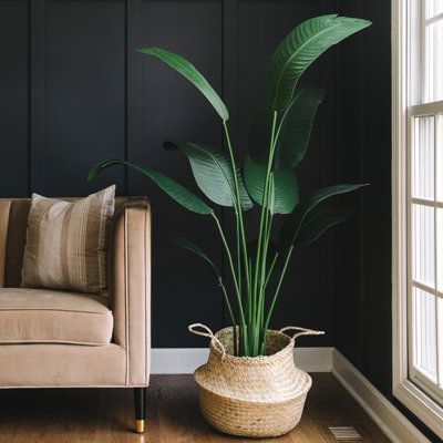 Experience the splendor of the tropics with our bird of paradise artificial plant. With its big, deep green leaves and upright stems that resemble the real thing, this plant is sure to add a dash of refinement to any space. Our floor plant for living room decor is created using high-quality materials, giving it a glossy appearance and a soft, velvety feel. Plus, it comes in a stunning black planter that has been crafted by skilled designers, making this large fake plant the perfect addition to a Large Fake Plants, Tiered Plant Stand Indoor, Tall Fake Plants, Bird Of Paradise Plant, Tall Plant Stands, Artificial Birds, Living Room Plants, Floor Plants, Leaf Plant