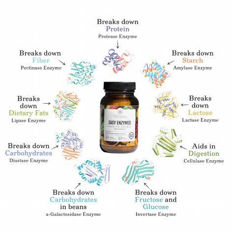 The #1 Reason To Take Digestive Enzymes Healthy Shopping List, Digestive Enzymes Supplements, Vitamin Brands, Digestive Supplements, Too Much Estrogen, Low Estrogen, Digestion Process, Food Babe, Healthy Metabolism