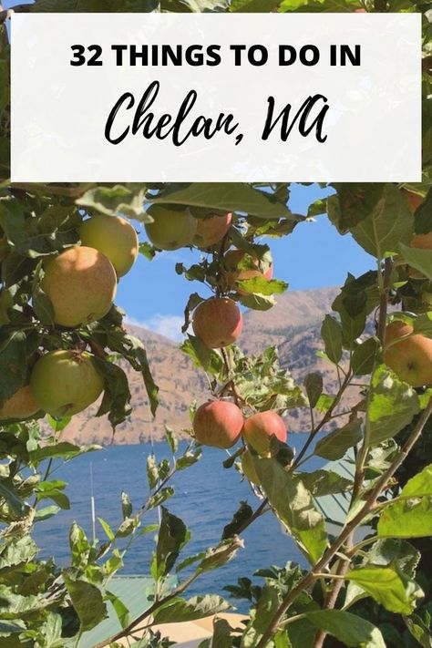 Looking for a destination getaway in Washington? You should visit Lake Chelan! It's one of our favorite places to vacation in Washington State. In this post, we share 32 fun activities to enjoy while visiting Lake Chelan.
#wanderlust
#lakechelan
#washington
#travel Lake Chelan Washington, Moses Lake Washington, Places To Vacation, Chelan Washington, Lake Chelan, Pacific Northwest Travel, Washington Travel, Hiking Guide, Lake Resort