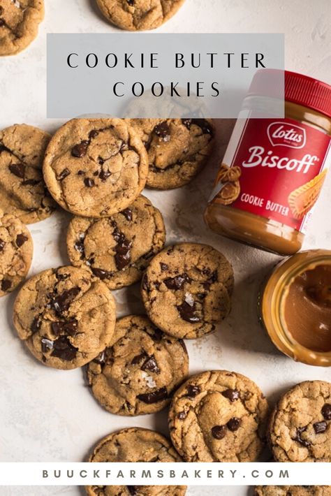 Chocolate Chip Cookie Butter Cookies, Chocolate Chip Biscoff Cookies, Recipe With Cookie Butter, Things To Make With Cookie Butter, Uses For Cookie Butter, Cookie Butter Chocolate Chip Cookies, Cookie Butter Cookie Recipes, Things To Do With Cookie Butter, What To Do With Cookie Butter