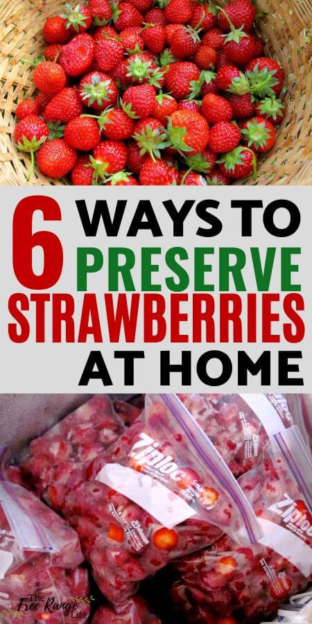 Strawberry season can provide a lot of berries in a very short period of time. Learn how to preserve strawberries to enjoy all year long. These 6 ways with give you all you need to preserve strawberries for all year use! How To Preserve Strawberries, Preserve Strawberries, Freezing Strawberries, Canned Strawberries, Fresh Strawberry Recipes, Gardening Indoors, Freezing Food, Strawberry Jam Recipe, Jam Recipes Homemade