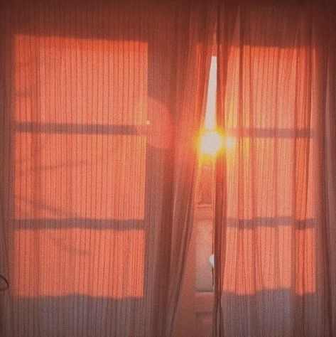 Sun Window, Coral Wallpaper, Peach Aesthetic, Live Coral, Orange Aesthetic, Aesthetic Colors, Brown Aesthetic, Aesthetic Themes, Red Aesthetic