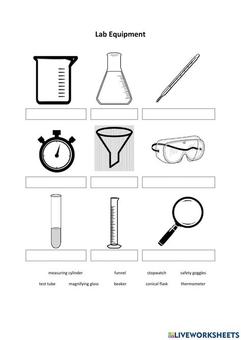 Science Tools Worksheet, Materials Worksheet, Stem Worksheets, Science Lab Tools, Lab Apparatus, Science Lab Safety, Science Model, Science Drawing, Matter Worksheets