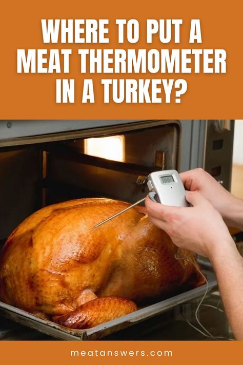 Where To Put A Meat Thermometer In A Turkey? Where To Place Thermometer In Turkey, 14lb Turkey Cook Time, Baking A Turkey In The Oven, Alton Brown Turkey, Cooking The Perfect Turkey, Turkey Roasting, Turkey Cooking Times, Turkey Cooking, Turkey In A Bag