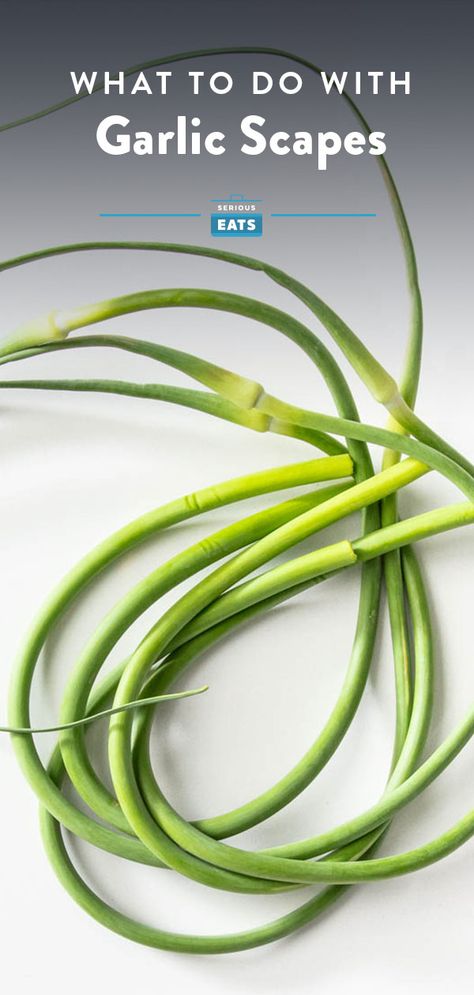 Garlic Scapes Recipes, Garlic Scrapes, Garlic Scape Pesto, Budget Freezer Meals, Farmers Market Recipes, Garlic Scapes, Csa Recipes, Gluten Free Menu, Budget Meal Planning