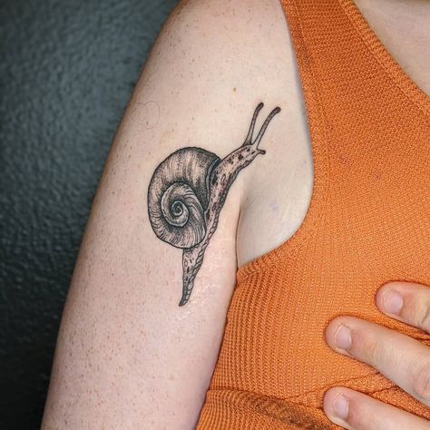 Realistic Snail Tattoo, Snail Tattoo Placement, Scientific Illustration Tattoo, Snail On Mushroom Tattoo, Irish Clover Tattoo, Cottagecore Snail Tattoo, Snail Tattoo Blackwork, Botanical Snail Tattoo, Ireland Tattoo