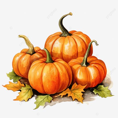 hand painted watercolor pumpkins thanksgiving pumpkins happy thanksgiving watercolor pumpkin png Fall Drawings, Pumpkin Drawing, Pumpkin Images, Autumn Invitations, Pumpkin Illustration, Pumpkin Pictures, Watercolor Pumpkin, Watercolor Food, Pumpkin Clipart