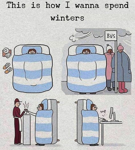 42 Images That Would Be More Funny If They Weren't So Painfully True Christmas Essay, Winter Humor, Christmas History, Crazy Funny Memes, Bones Funny, Funny Comics, Funny Jokes, Funny Pictures, Funny Quotes