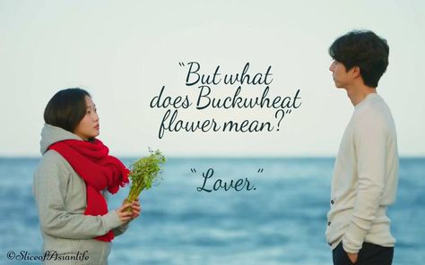 'Lovers' Goblin Goblin Kdrama Quotes, Buckwheat Flower, Goblin The Lonely And Great God, Goblin Korean Drama, Moorim School, Goblin Kdrama, Gu Family Books, K Quotes, Big Bang Top