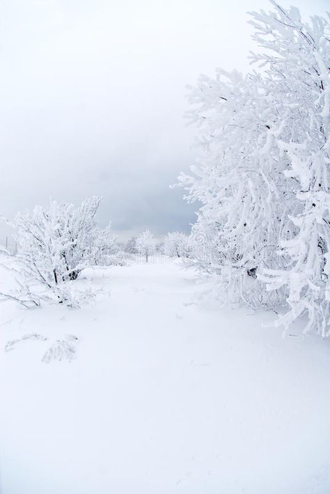 All white under snow. Spectacular winter landscape with cloudy overhead and tree , #AFF, #winter, #landscape, #Spectacular, #white, #snow #ad White Snow Aesthetic Wallpaper, Snowing Aesthetic Wallpaper, Snow Wallpaper Iphone, Winter Wonderland Background, Winter Wonderland Wallpaper, Snowy Background, Snow Background, Iphone Wallpaper Winter, Frozen Water