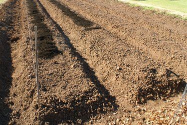 Vegetable Garden Soil, Garden Planning Layout, Vegetable Patch, Garden Organization, Types Of Vegetables, Garden Boxes, Planting Vegetables, Garden Soil, Planting Seeds