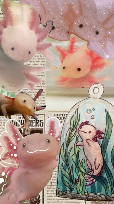 this is a edition about axolotls 🫶 Axolotl Aesthetic, Axolotl Wallpaper, Star Wallpaper, Cute Doodles, Doodles, Diamonds, Animals, Quick Saves, Kawaii