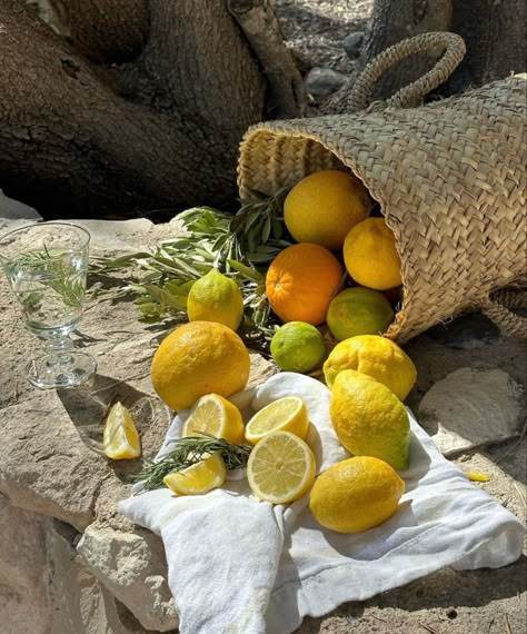 Mediterranean Aesthetic, Tattoo Plant, Italian Aesthetic, Sicilian Lemon, Lemon Tree, Italian Summer, Yellow Aesthetic, Le Havre, Summer Feeling