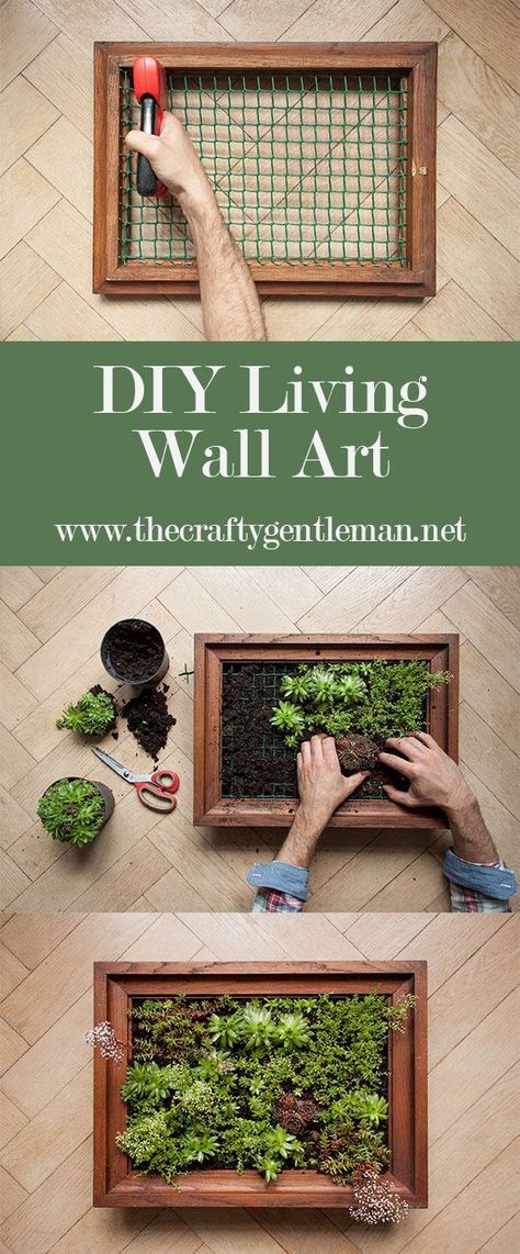 Learn how to make your own living wall art vertical garden. Click through to see the step by step tutorial Living Wall Diy, Moss Graffiti, Succulent Frame, Garden Wall Designs, Jardim Diy, Living Wall Art, Vertical Vegetable Garden, Wall Art Display, Vertical Garden Wall