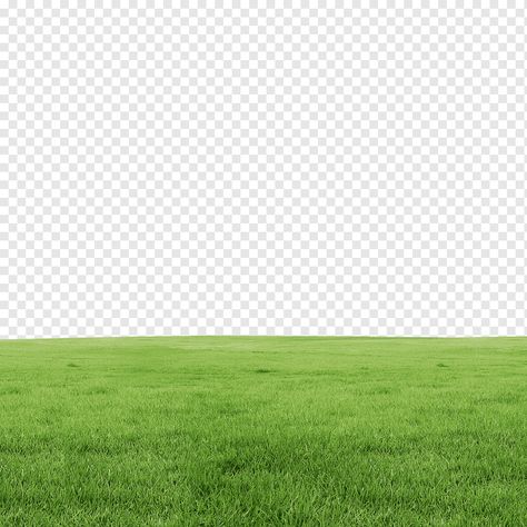 Grass Png Hd, Grass Landscape Design, Grass Images, Grass Photoshop, Grass Png, Cartoon Grass, Grass Landscaping, Png Wallpaper, Grass Photo