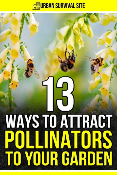 Pollinators like bees, butterflies, and other flying insects, are essential to a healthy garden. Here's how to attract them to your garden. How To Attract Bees To Your Garden, Pollinator Garden Plans, How To Repel Flies, Bee Attracting Flowers, Repel Flies, Homestead Style, Million Flowers, Types Of Bees, Garden Goals