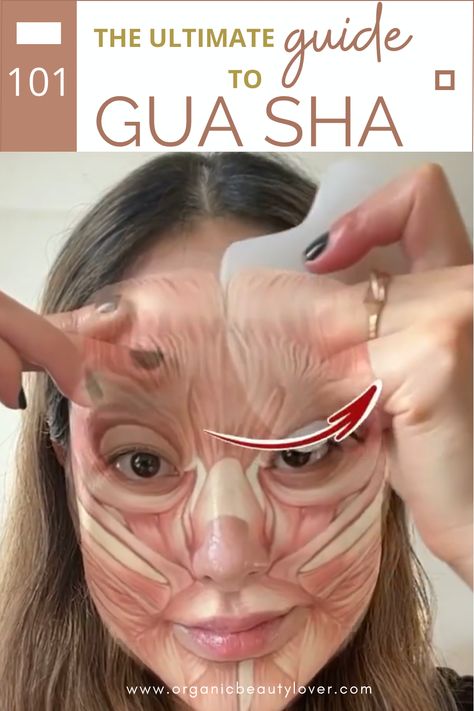 How To Use a Gua Sha: The Ultimate Guide 2024 - ORGANIC BEAUTY LOVER Gua Stone Massage, Gua Sha Technique With Hands, Gua Sha Hands, Gua Sha For Beginners, How To Gua Sha, How To Use A Gua Sha, Guasha Before And After, Gus Sha, Using Gua Sha