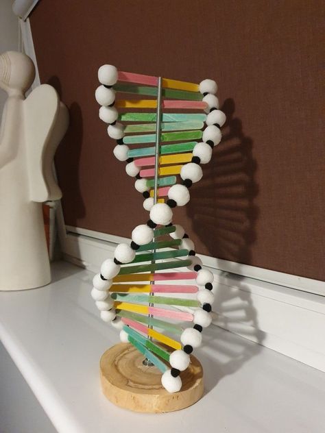 Double Helix Model Projects, Biology Arts And Crafts, Model Of Dna Project, Dna School Project, Dna Molecule Project, 3d Dna Project, Dna Project Ideas, Dna Project Models, Dna Model Project High Schools