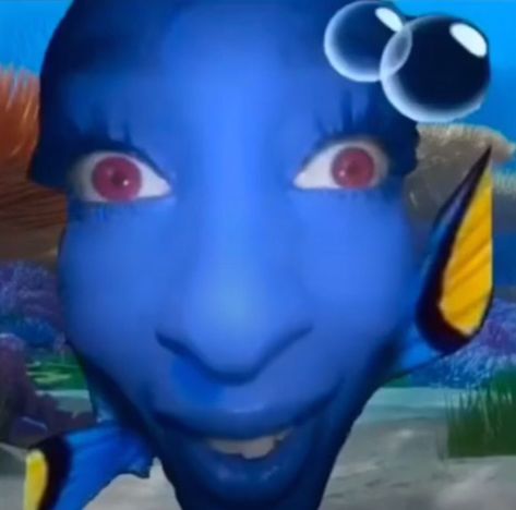 Dory Memes, Funny Profile, Funny Profile Pictures, Silly Pictures, Funny Reaction Pictures, Instagram Funny, Oui Oui, Doja Cat, Really Funny Pictures