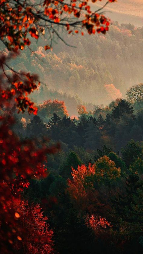 Wald Wallpaper, Calming Landscapes, Fall Widgets, App Logos, Cr7 Jr, Kalender Design, Fall Wallpapers, Autumn Wallpaper, Painting References