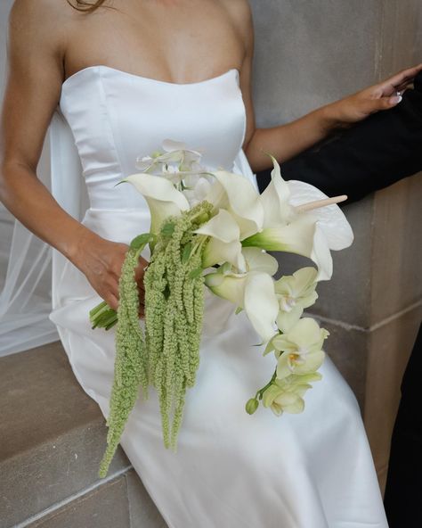 a flouncy, bouncy modern bouquet 😌 for a stunning couple’s city hall wedding! Photographer: @elizabethpishalphoto . . . . San Francisco Florist | Bridal bouquet | City hall wedding #underthefloralspell #sfflorist #flowerphotography #floralinspiration #bridalbouquet #myfloraldays #floralstyling #inspiredbynature #pursuepretty #floralstories #botanicalpickmeup #flowerpower #moodforfloral #allthingsbotanical #flowersmakemehappy #justbefloral #bayareaflorist #flowermagic #freakebana #tropica... Deep Green Wedding Flowers, Organic Bridesmaid Bouquet, Organic Bouquet Wedding, Snapdragon Bridesmaid Bouquet, Unique White Flowers, Mini Calla Lily Bouquet, Rosemary Wedding Bouquet, Fake Bridal Bouquet, Cala Lilly Wedding Bouquet White