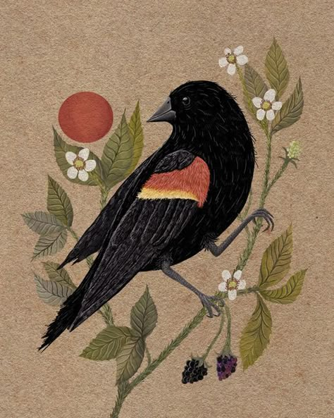 Red Ink Illustration, Red Wing Blackbird Art, Red Wing Black Bird Tattoo, Red Winged Black Bird Tattoo, Red Winged Blackbird Drawing, Red Wing Blackbird Tattoo, Red Winged Blackbird Art, Redwing Blackbird Tattoo, Red Winged Blackbird Tattoo