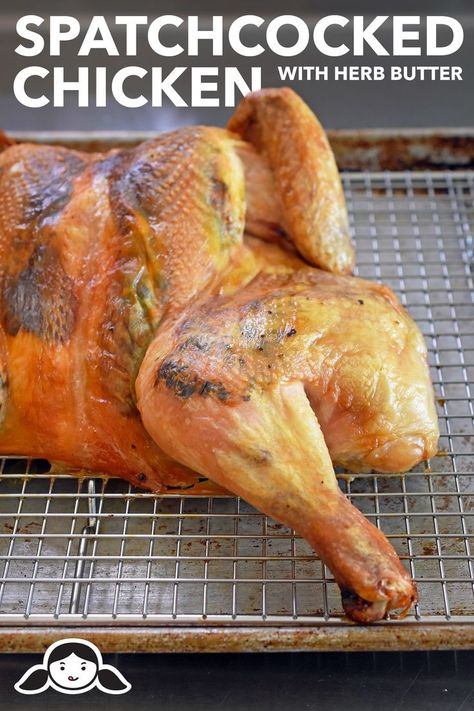 Spatcocked Chicken with Herb Butter by Michelle Tam http://nomnompaleo.com Dry Brine Chicken, Spatchcocked Chicken, Dry Brine, Paleo Gluten Free Recipes, Brine Chicken, Spatchcock Chicken, Paleo Chicken Recipes, Nom Nom Paleo, Primal Recipes