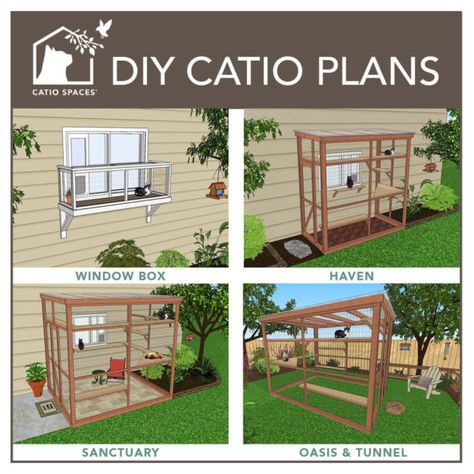 Catio Plans, Diy Cat Enclosure, Katt Diy, Cat Safe Plants, Katt Grejer, Cat Patio, Outdoor Cat Enclosure, Cat Run, Outdoor Cat House